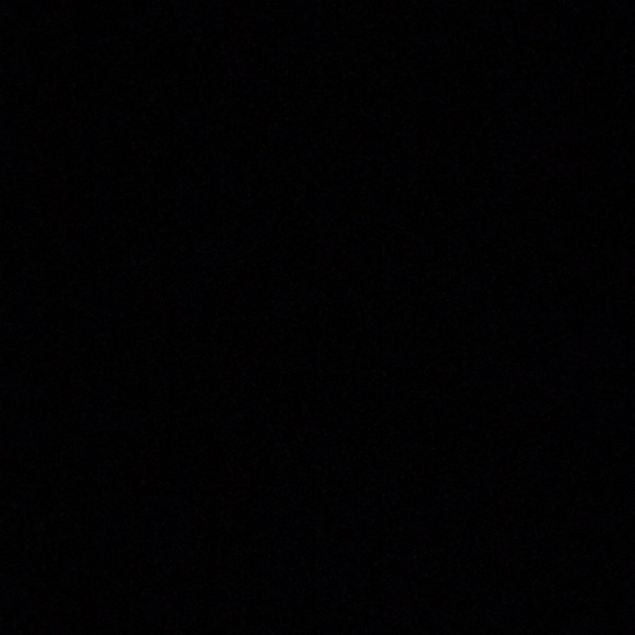 Meet your Posher, Zoey - Picture 1 of 1